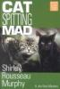 Cat_spitting_mad