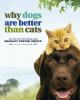 Why_dogs_are_better_than_cats