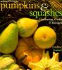 Pumpkins___squashes