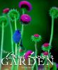 The_bird_lover_s_garden